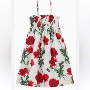 Dolce & Gabbana Vibrant Red and Green poppy dress with Ruched Top